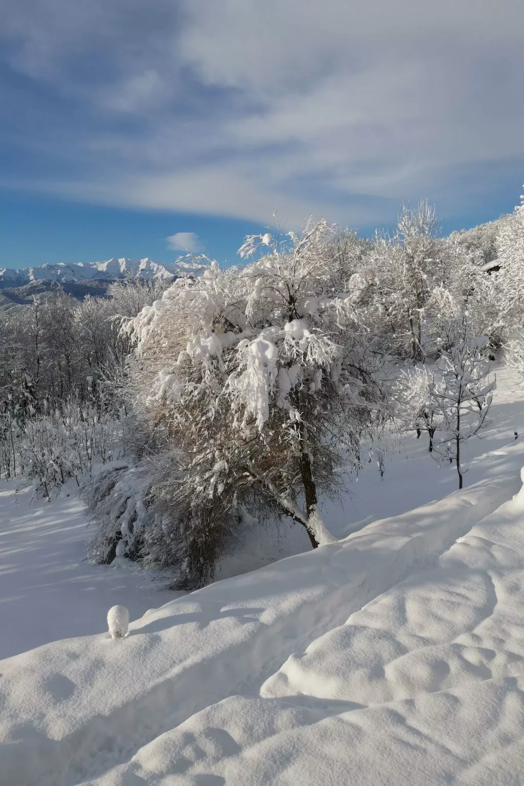 Casa Bella Vista-Image-tags.info