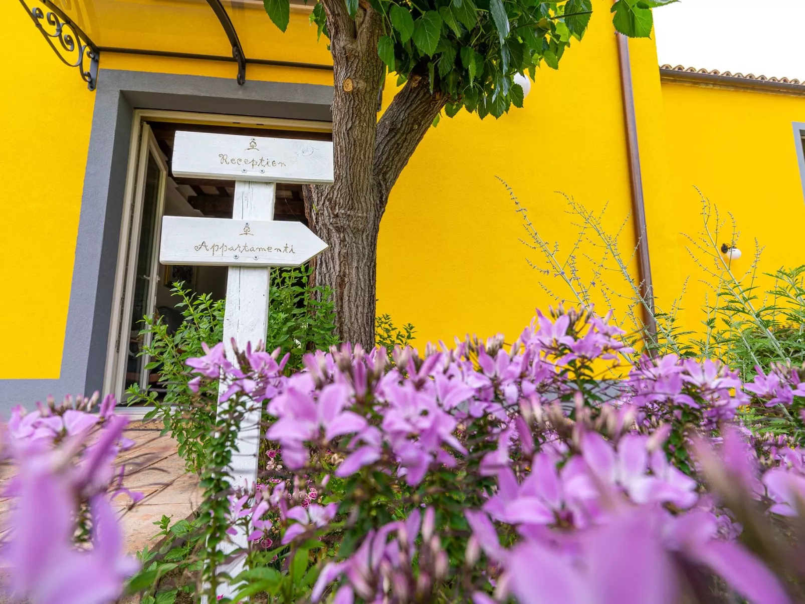 Wohnung 'Girasole' mit Schwimmbad-Buiten