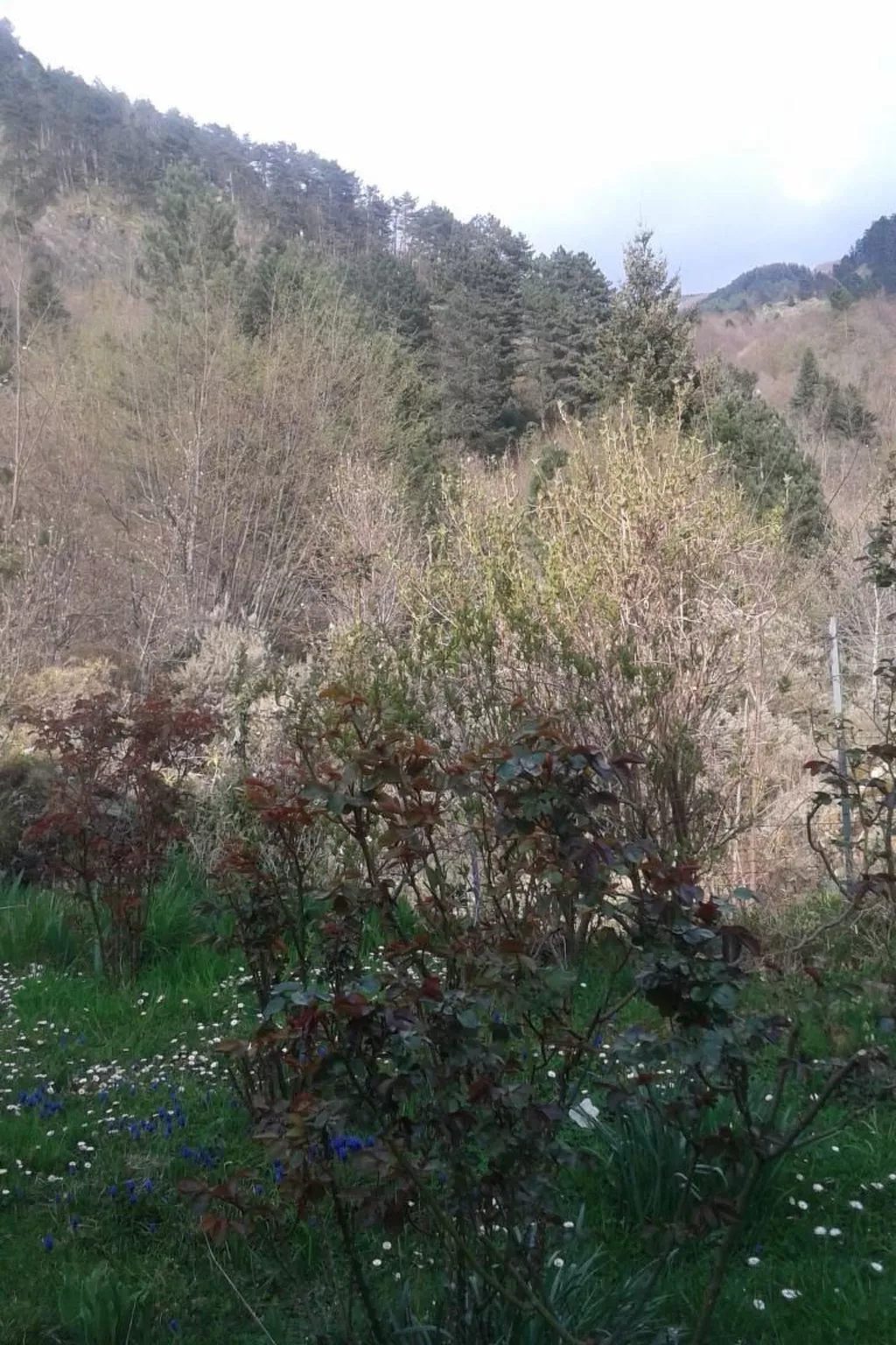 Natur und Entspannung, Villa im Park-Buiten