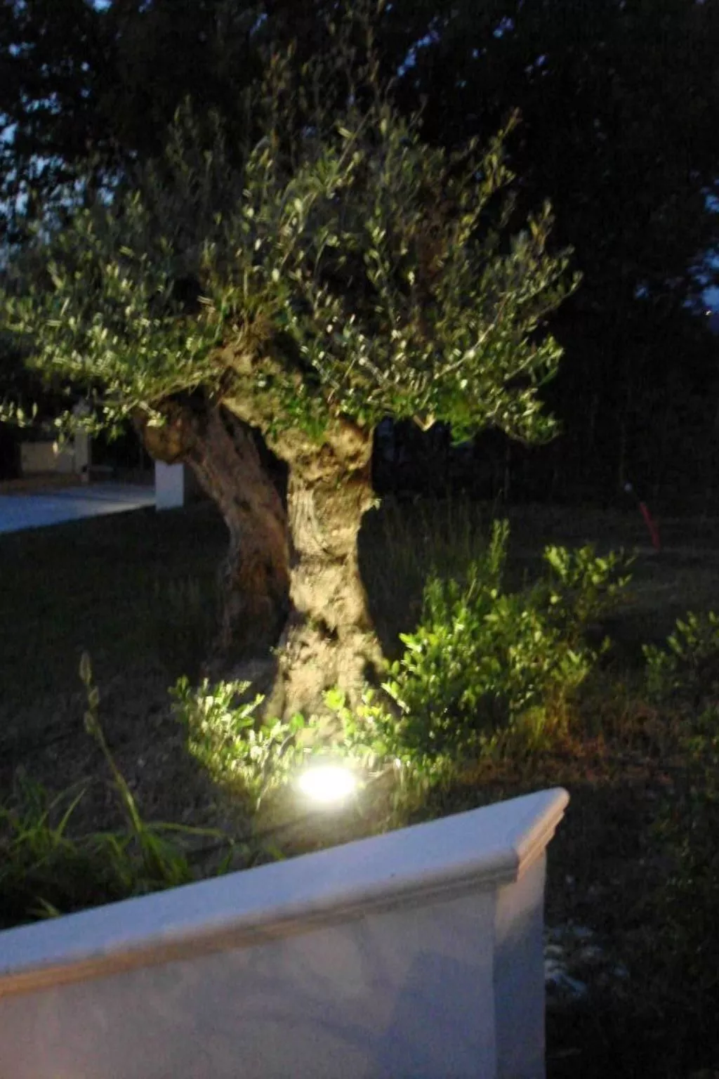 Charmante Lösung, Schwimmbad 10 Minuten vom Meer entfernt-Buiten