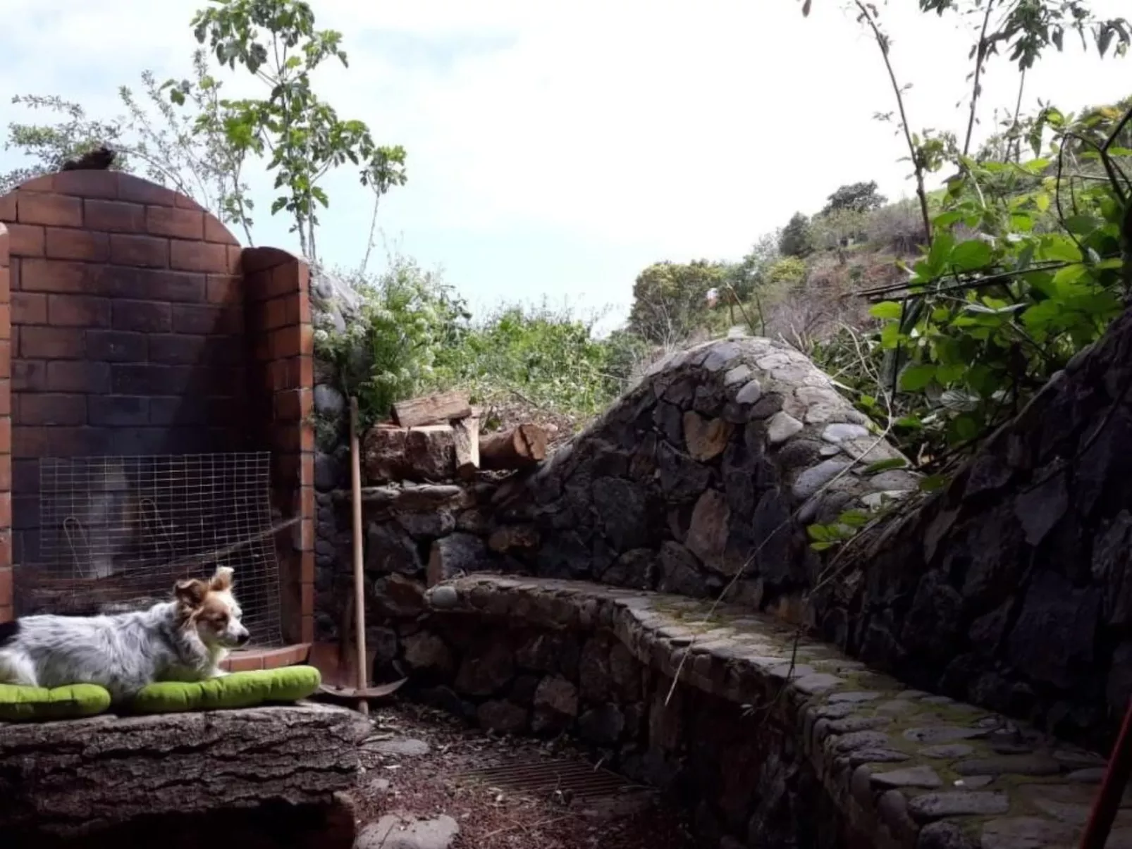 Finca "Sunny Scape Rural-Buiten