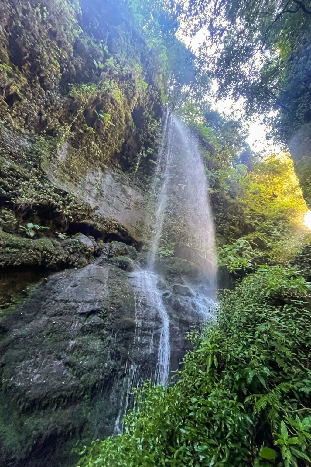 CHL La Placeta, Haus in Los Llanos de Aridane-Image-tags.info