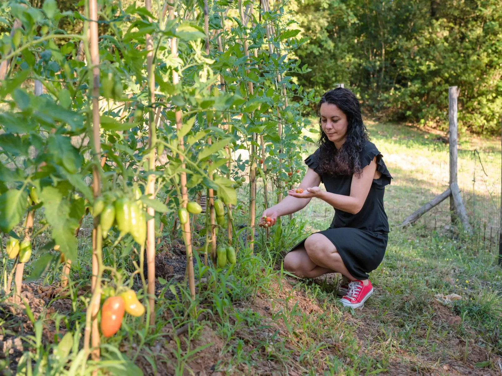 Drei-Zimmer-Wohnung im Bauernhaus-Image-tags.info