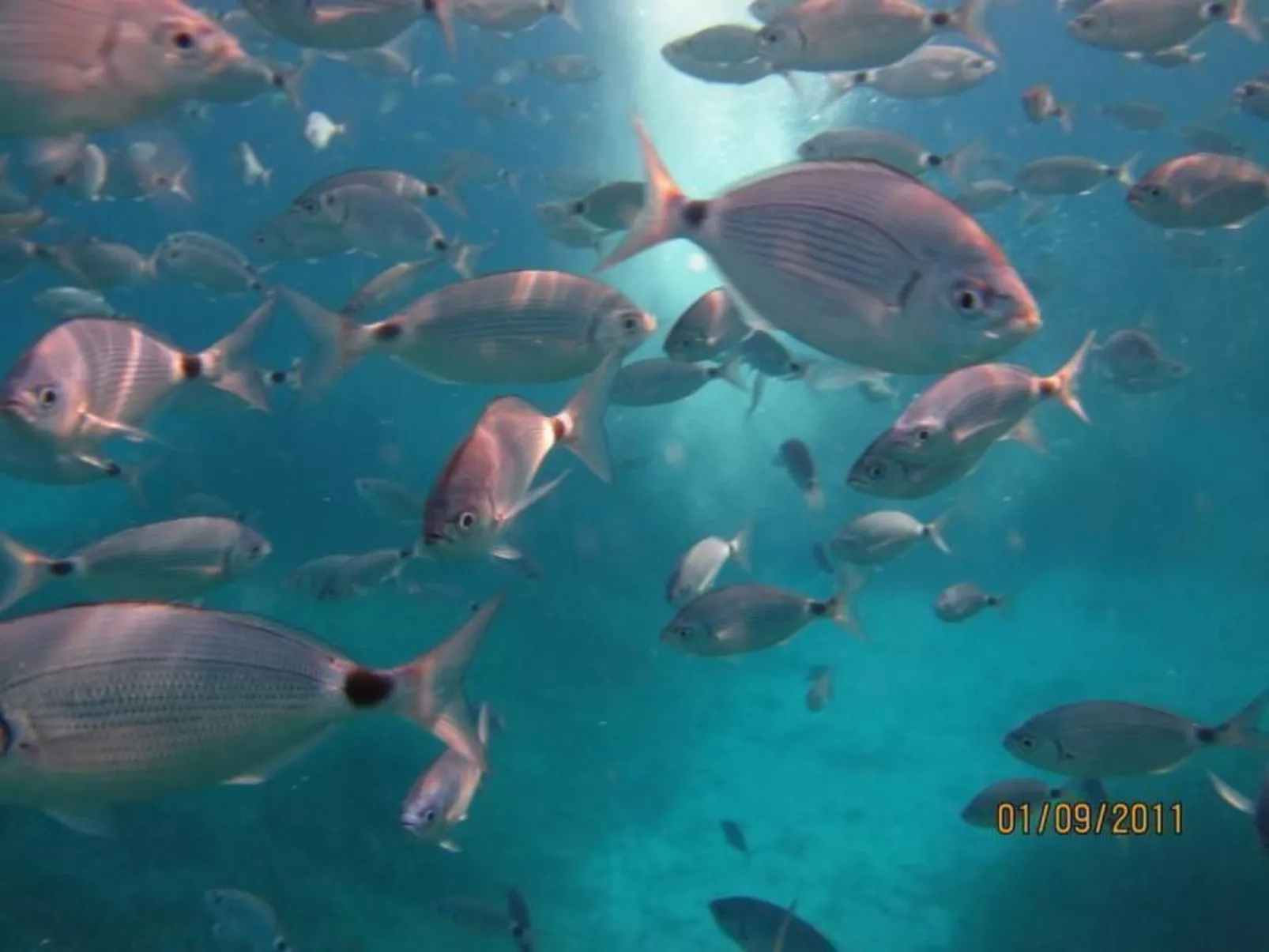 'Villetta Il Mirto-Image-tags.info