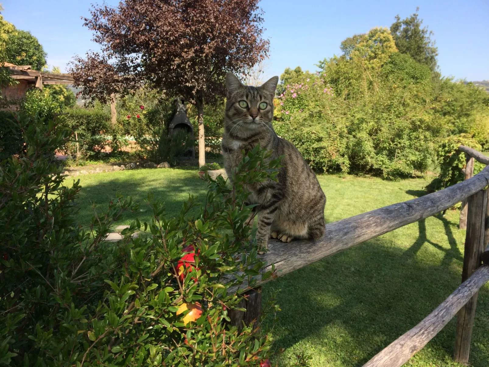 Villa mit privatem Pool 70 Kilometer von Rom entfernt-Image-tags.info