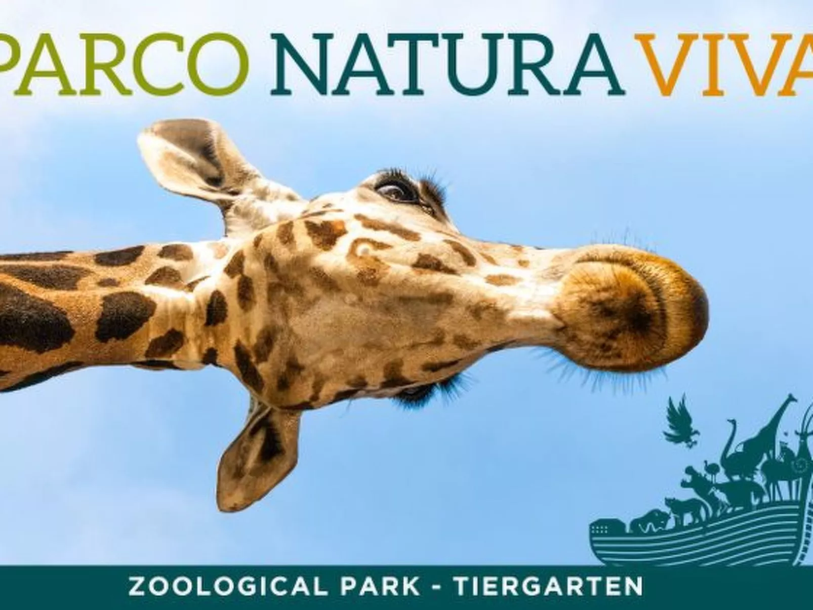 APART DINA LAZISE-Image-tags.info