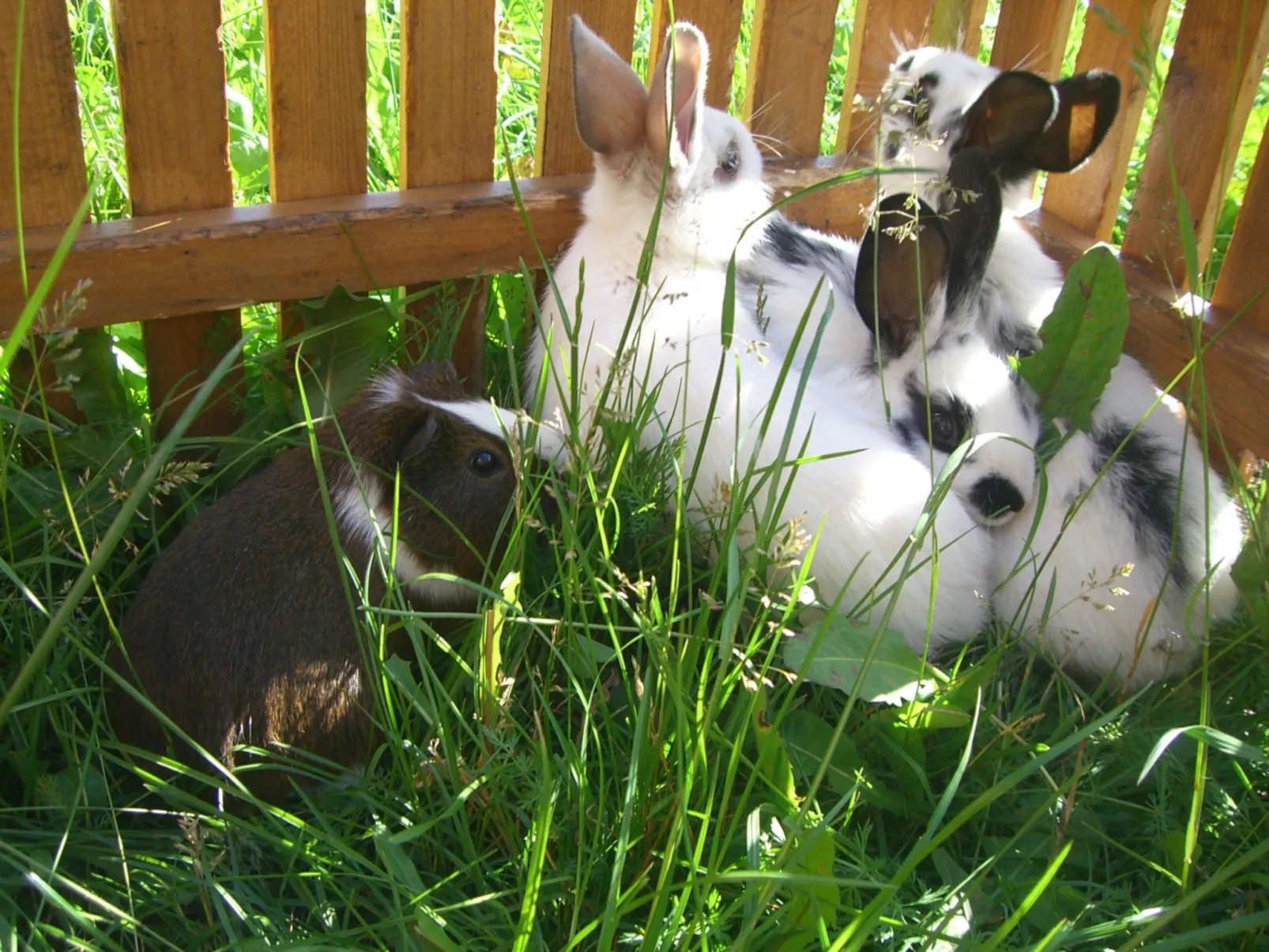 Kompatscherhof-Image-tags.info