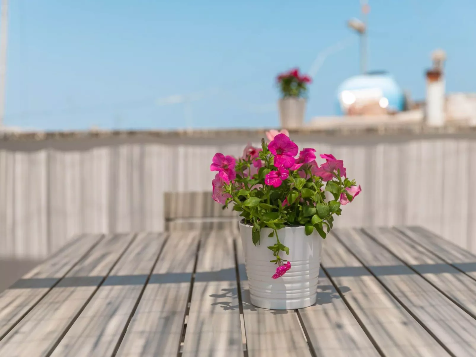 Dimora Terracielo - historisches Zentrum, nur wenige Schritte vom Meer entfernt-Buiten