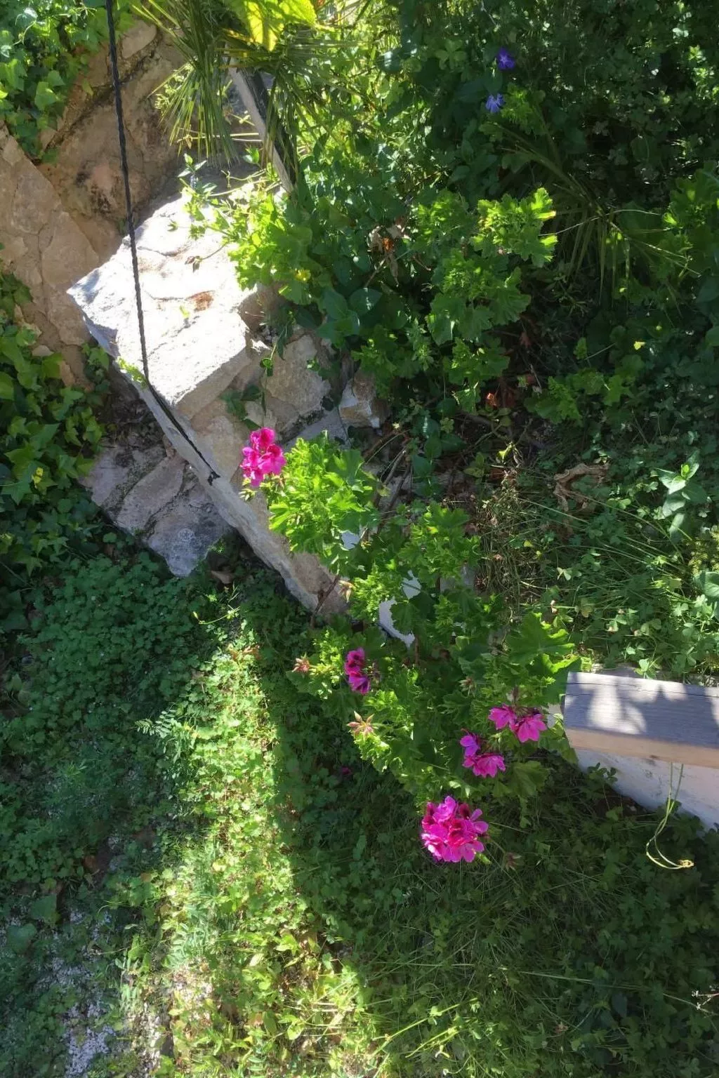 CASA  BENIMEIT-Buiten