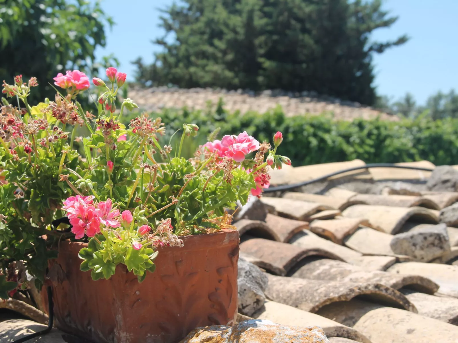 "Villa mit Pool-Image-tags.info