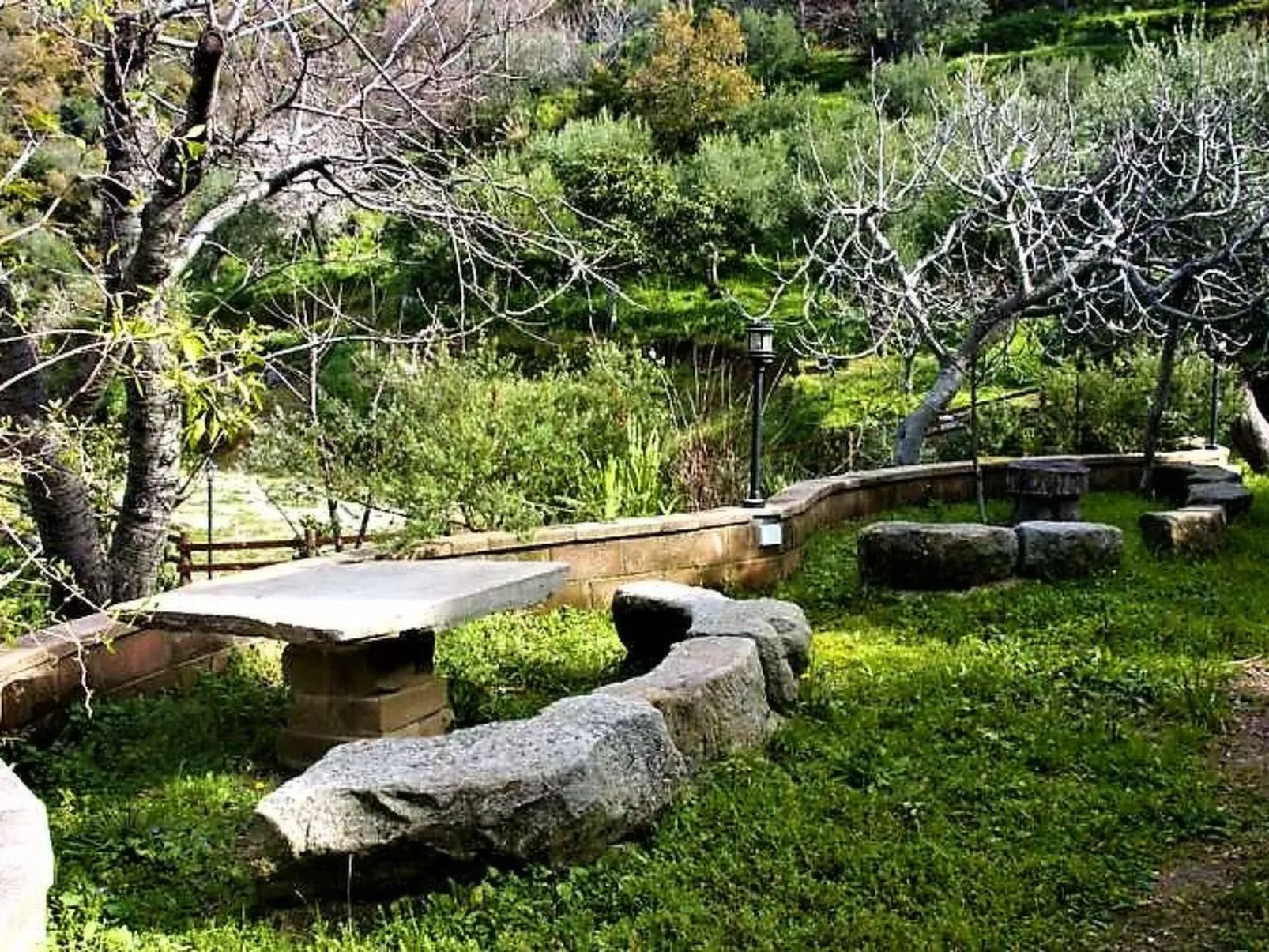 Flache Zeder-Image-tags.info