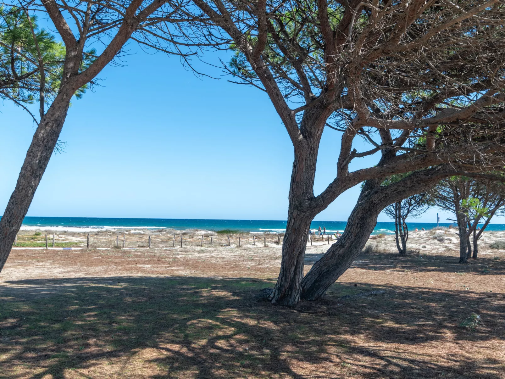 Haus Le Rose-Omgeving