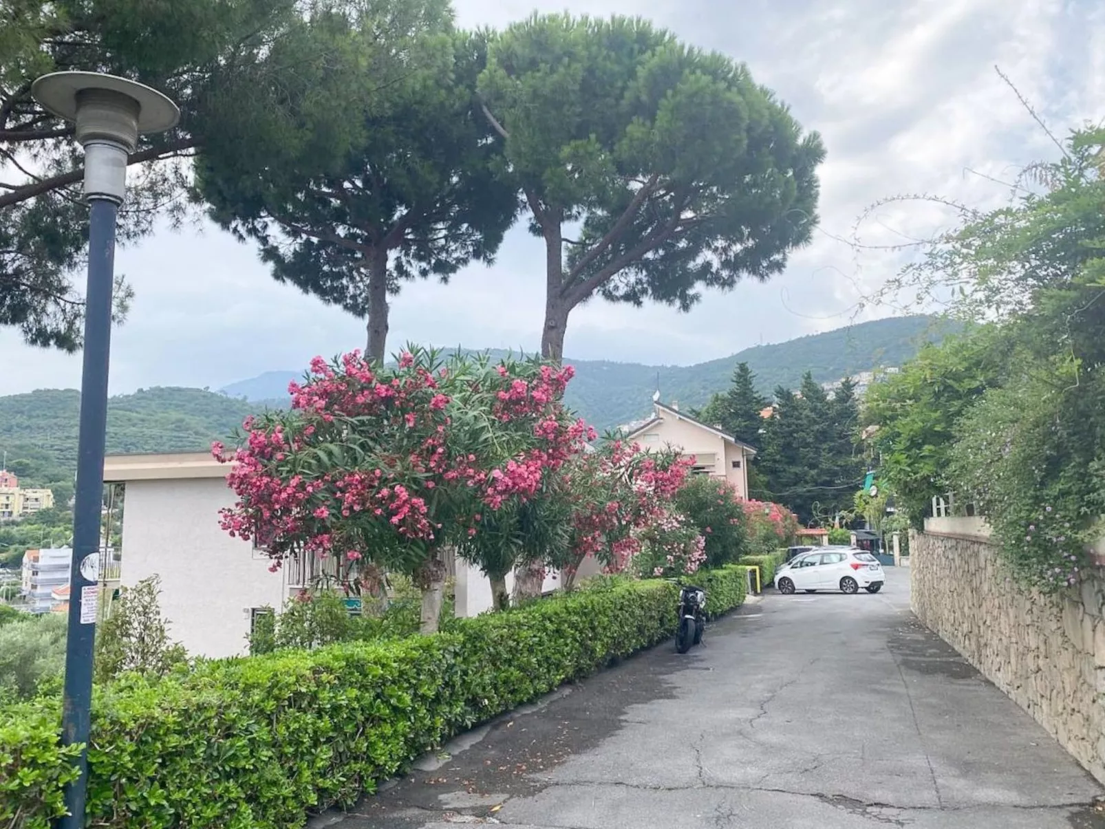 Mare e Mimose von Holiday World-Image-tags.info