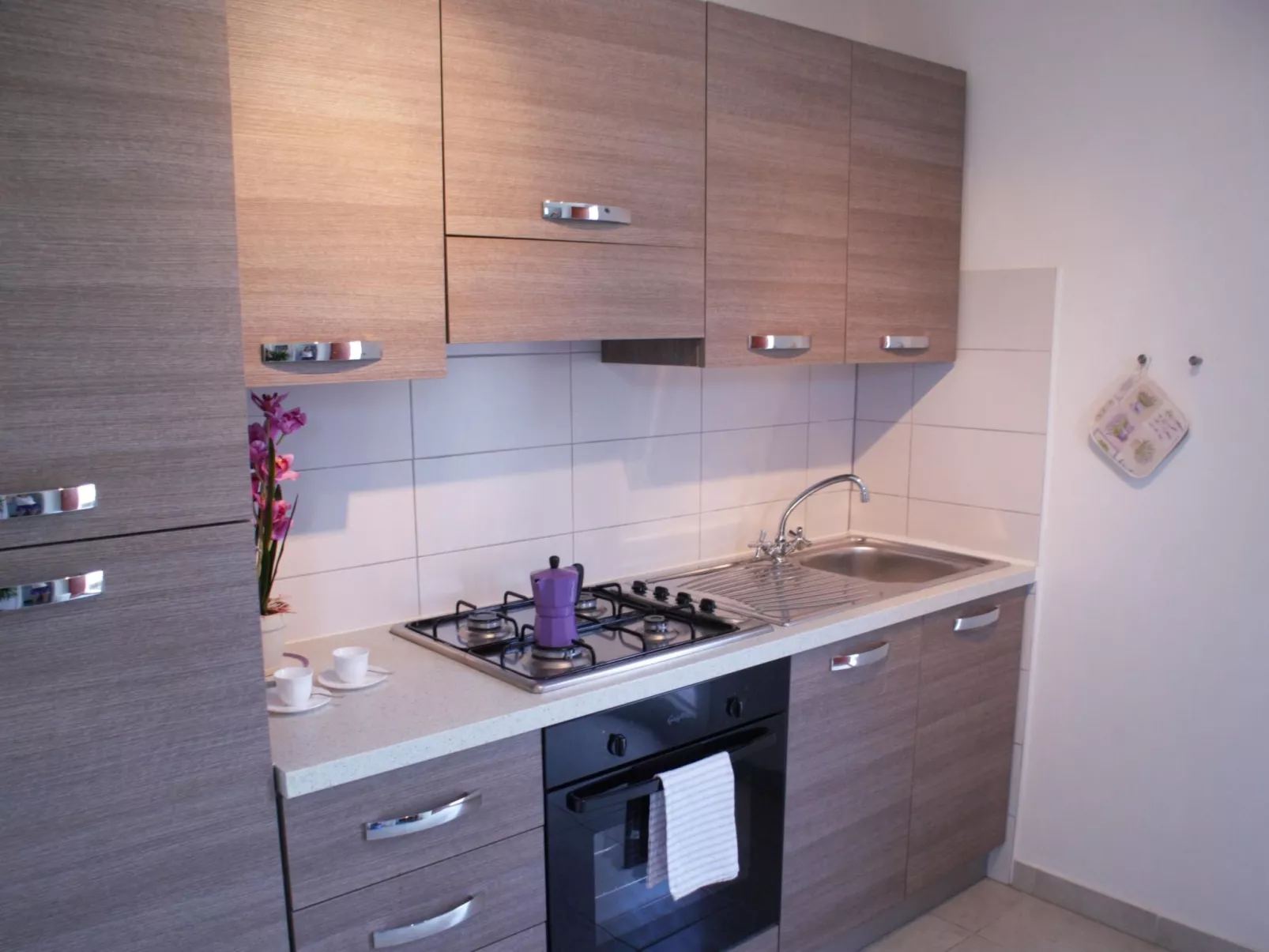 Komfortable Ferienwohnung in Cervo mit Garten-Image-tags.info