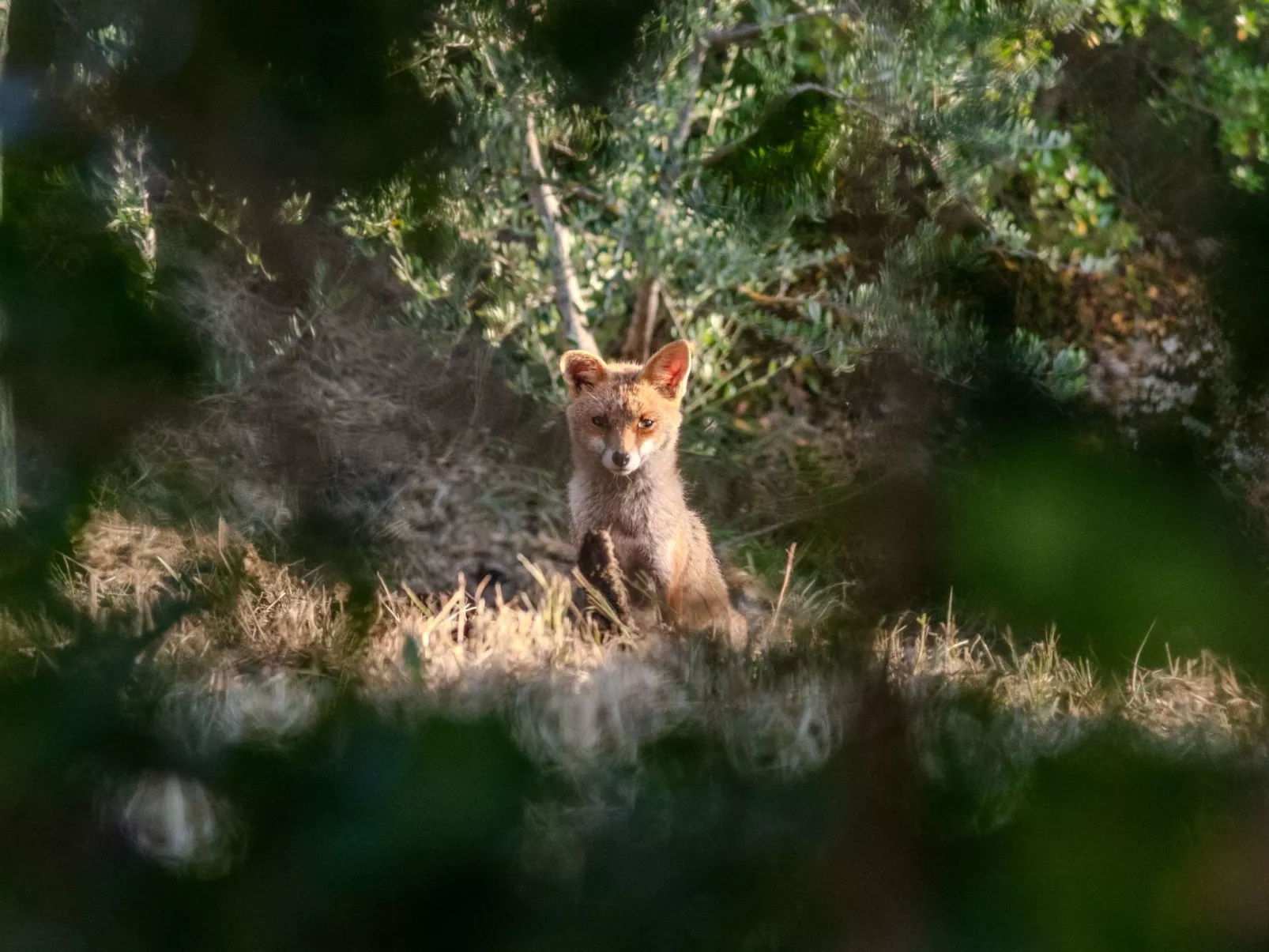 Landhaus mit privatem Pool - Toskana-Buiten