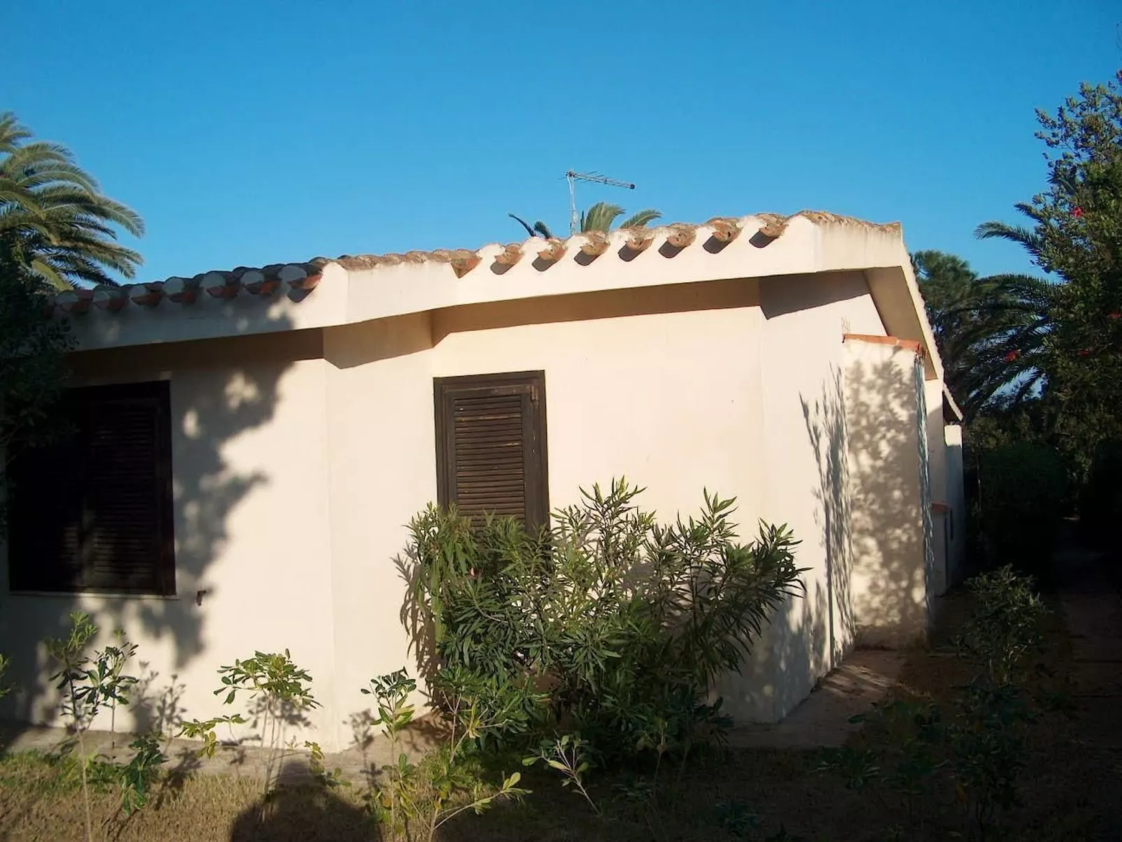 Palma direkt am Meer-Image-tags.info