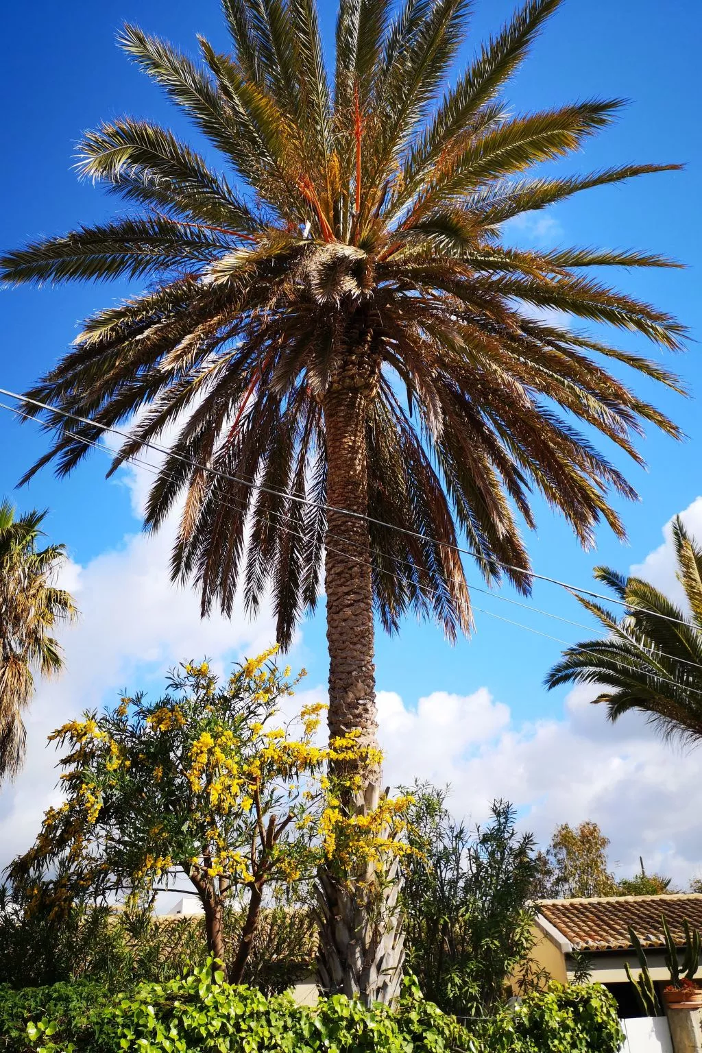 Schöner Bungalow direkt am Sandstrand auf Sizilien-Image-tags.info