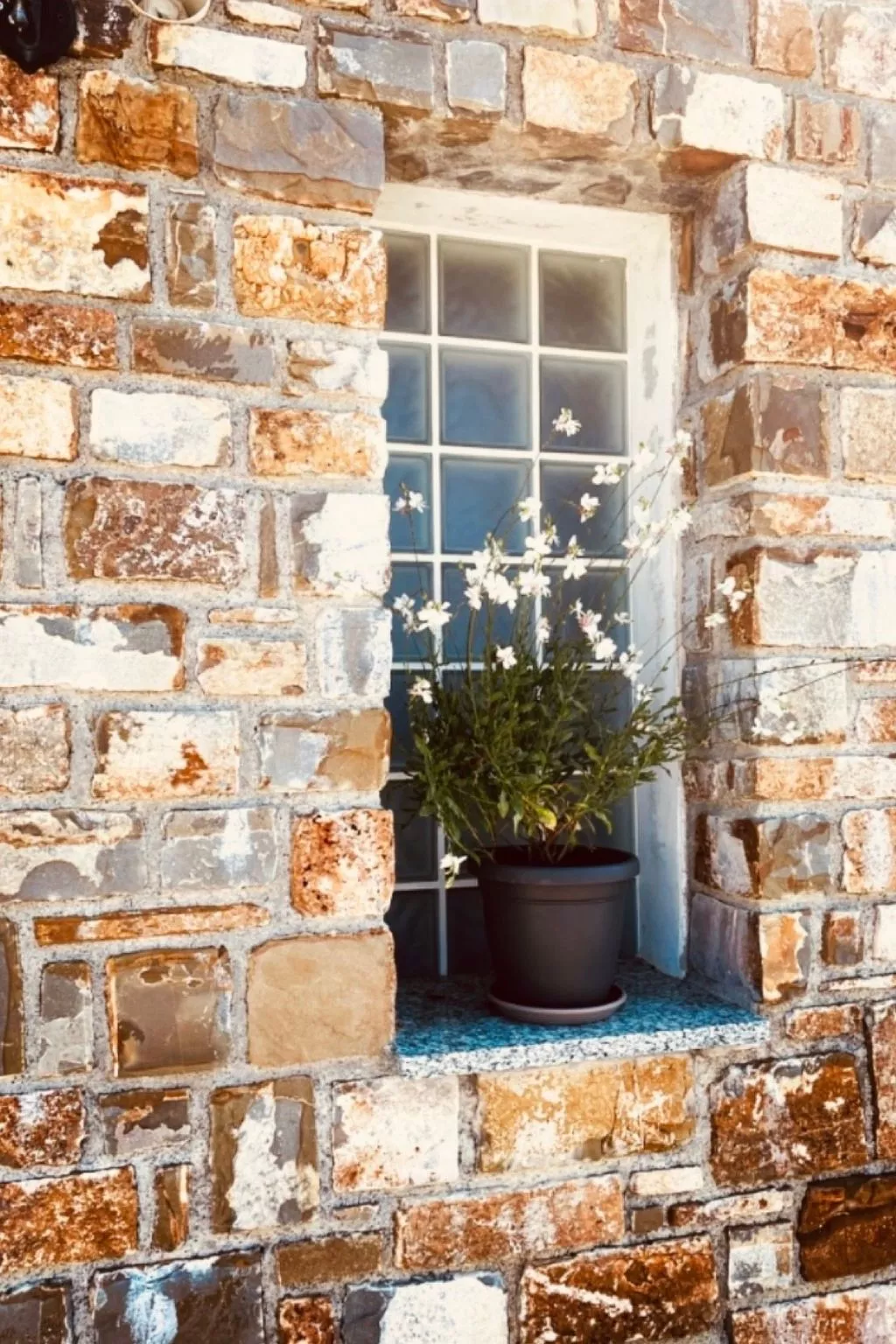 Bella Vista Poggi  - fantastischer Meerblick-Buiten