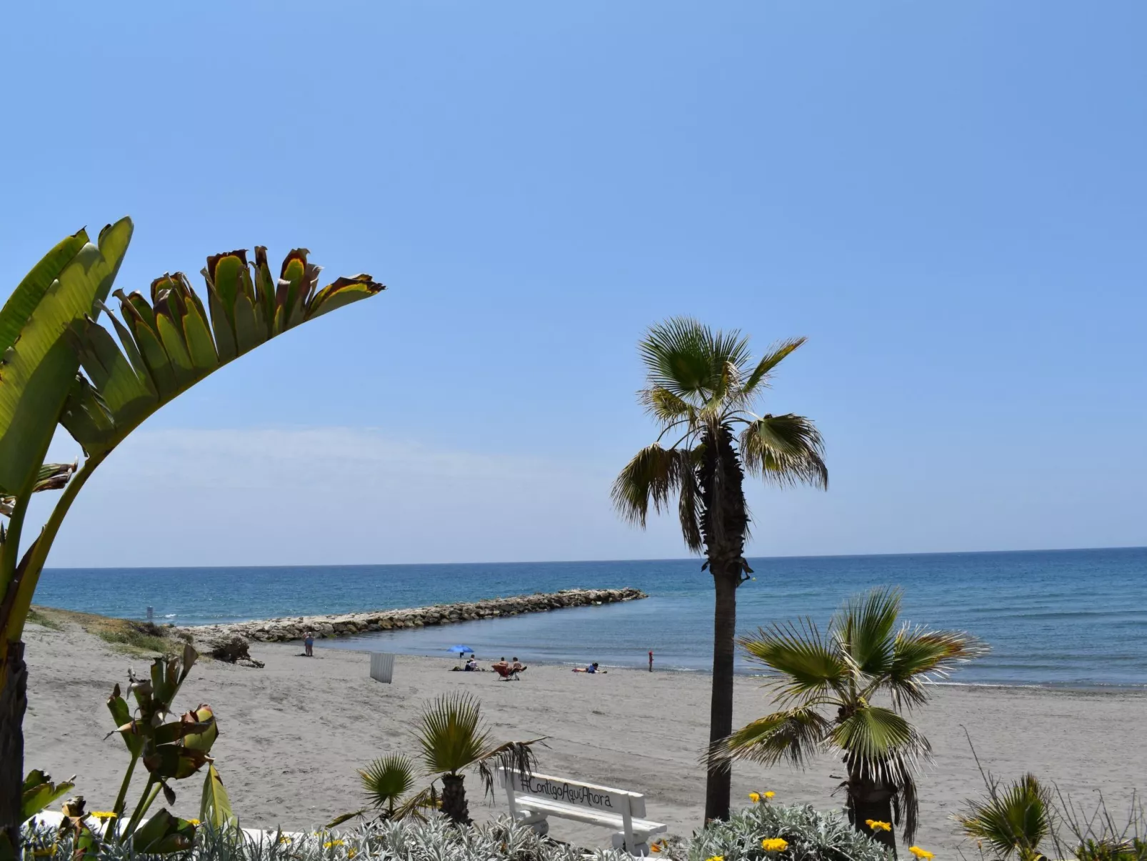 Studio Europa beachfront-Image-tags.info