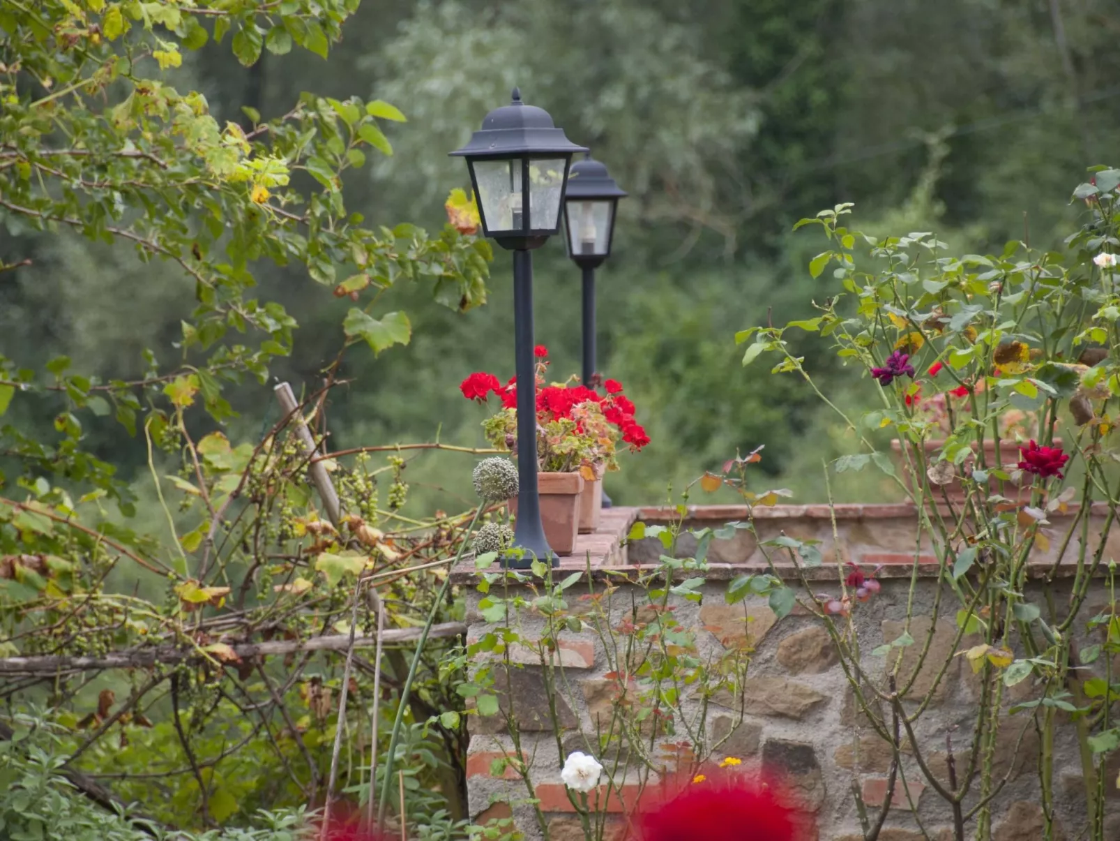 Apartment Rosa Canina (Wilde Rose)-Buiten