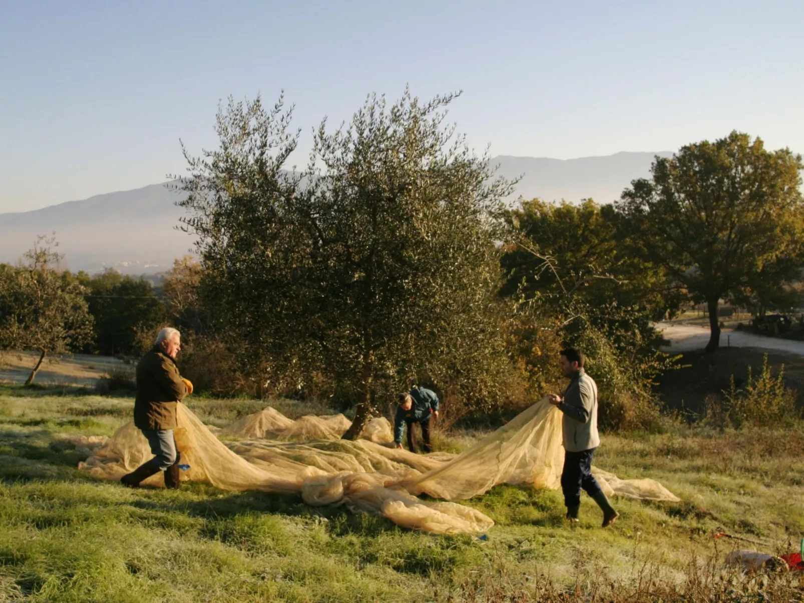 Wohnung in Figline Valdarno mit Gemeinschaftspool-Image-tags.info