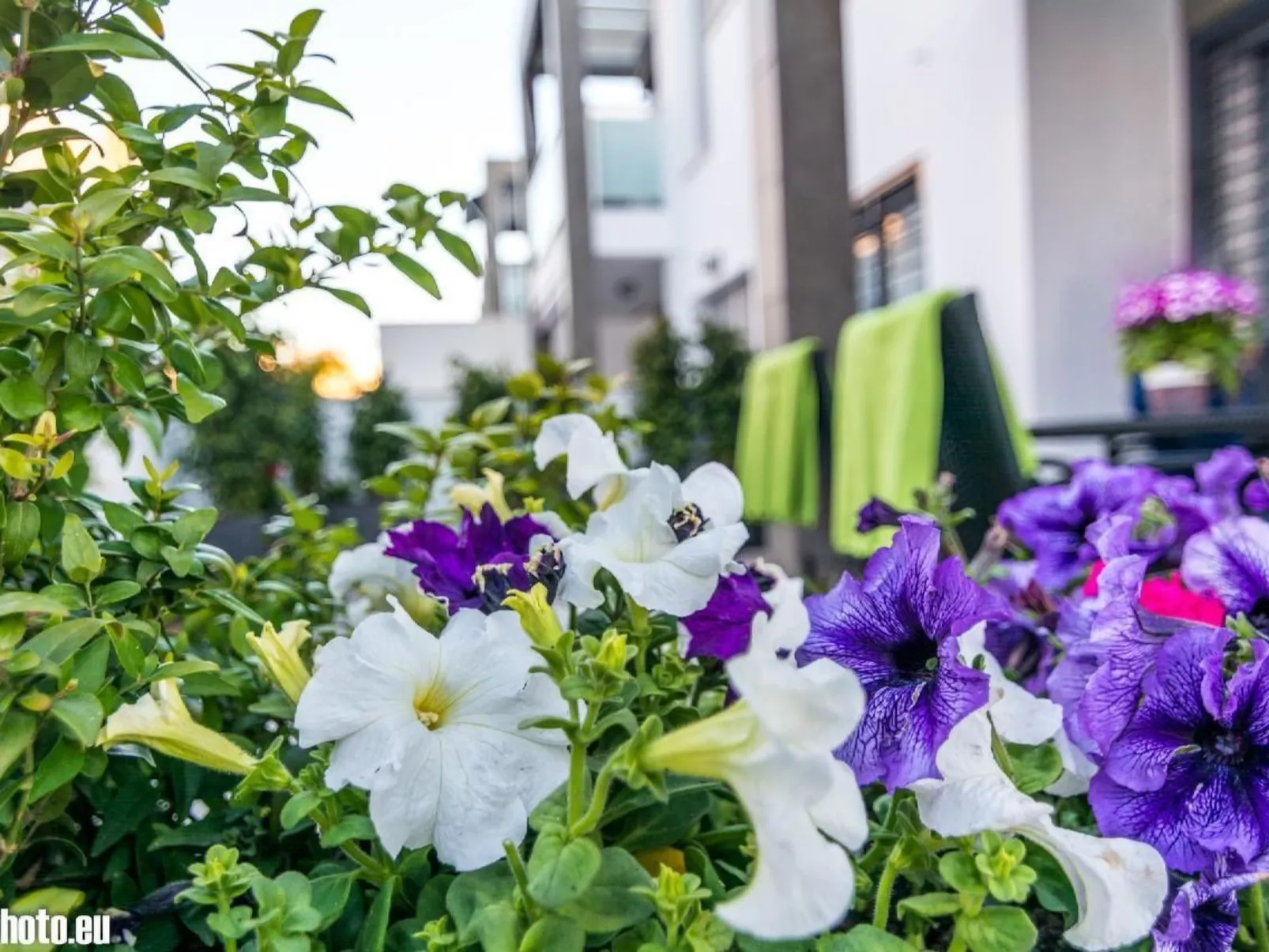 "Sunny Villa" mit Schwimmbad-Image-tags.info