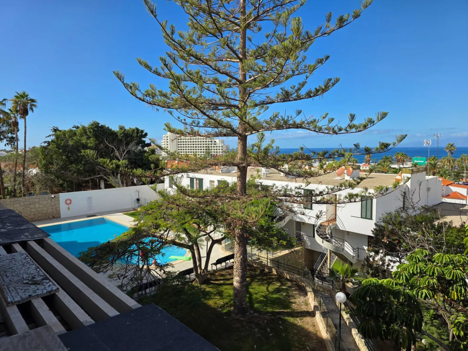 Jacaranda am Meer-Buiten