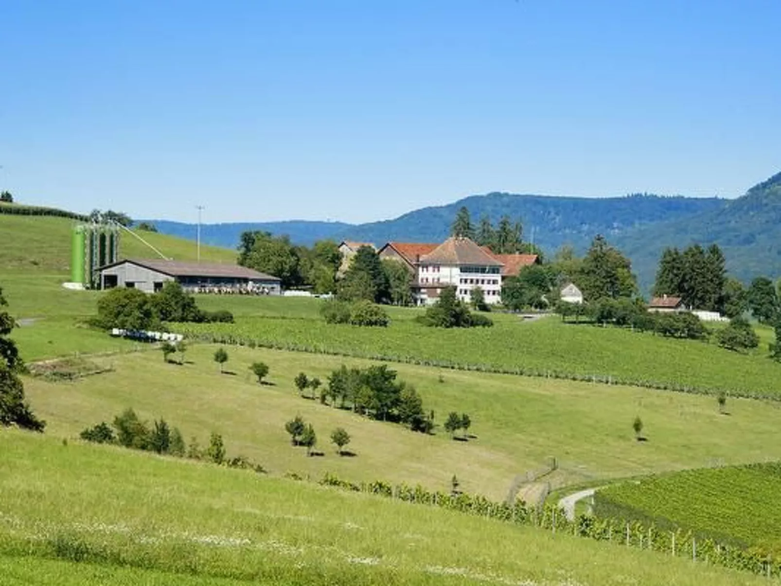 Berghof Hallau kleine Ferienwohnung-Buiten