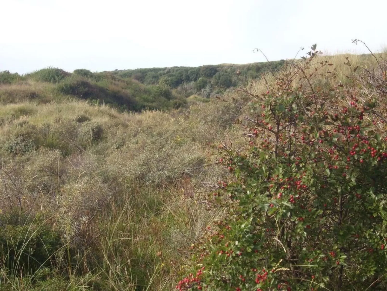 Strandhaus direkt am Meer-Buiten