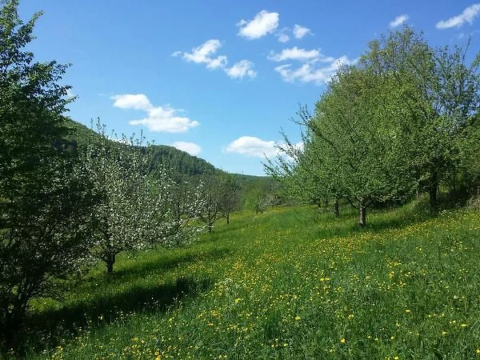 Ferienwohng. Susanne-Buiten