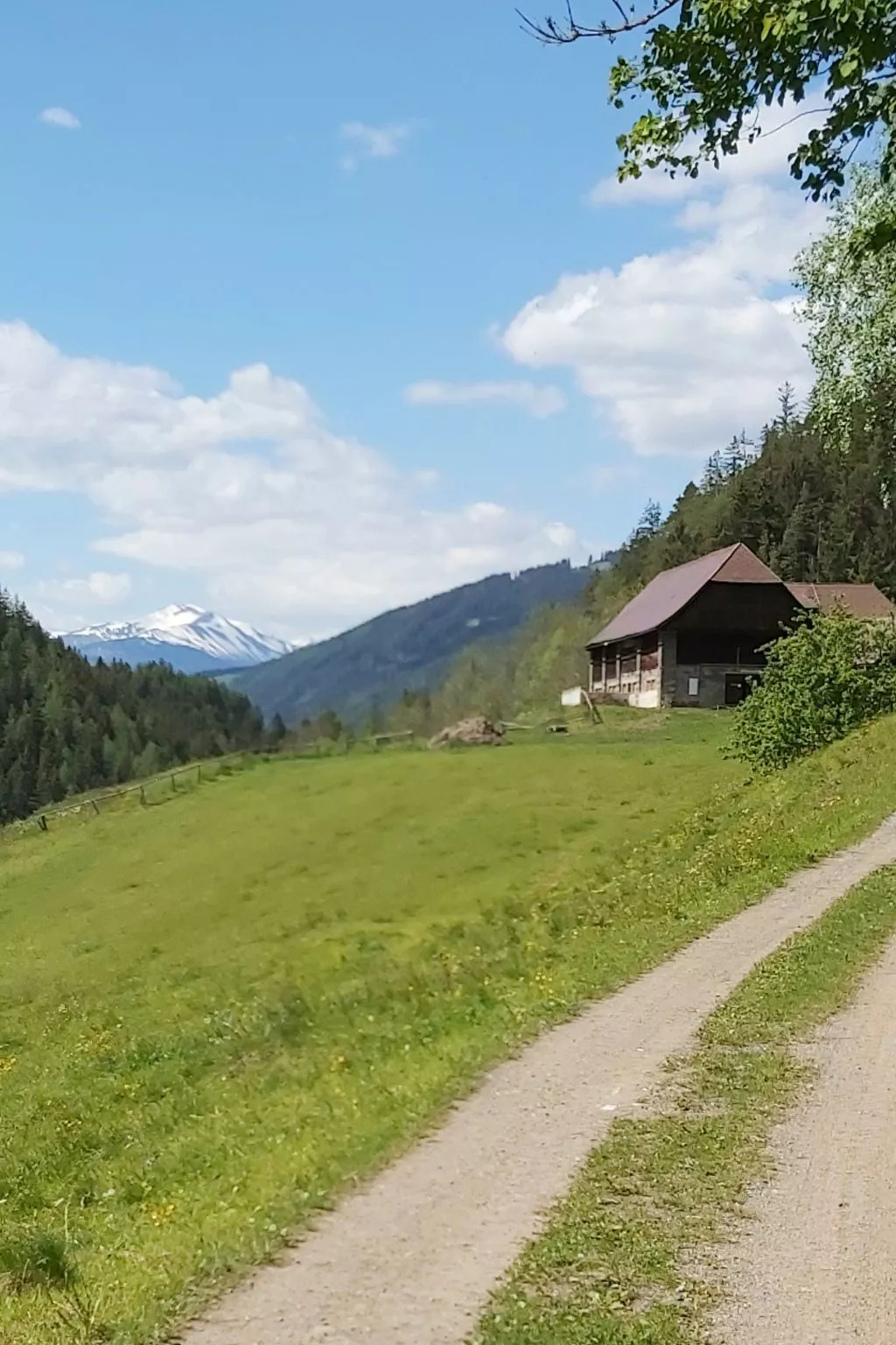 Moderne Wohnung in Pöls mit großer Terrasse-Buiten