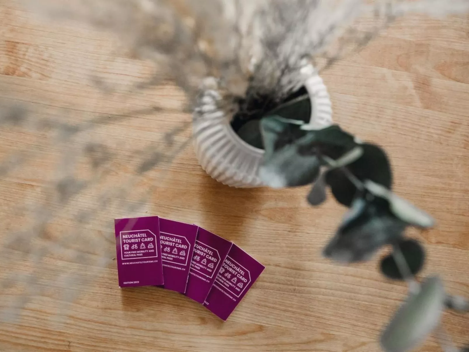 Wohnung in altem, renoviertem Bauernhaus-Image-tags.info