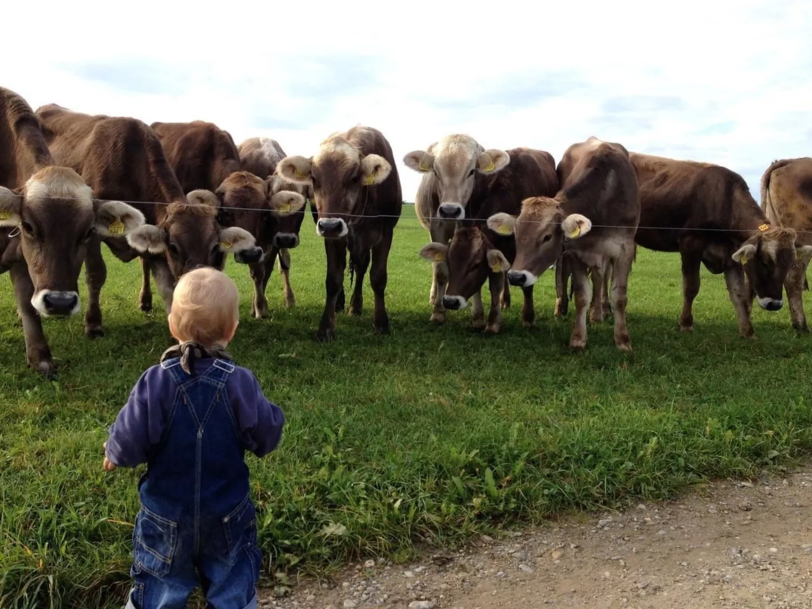 Heuwiese-Image-tags.info