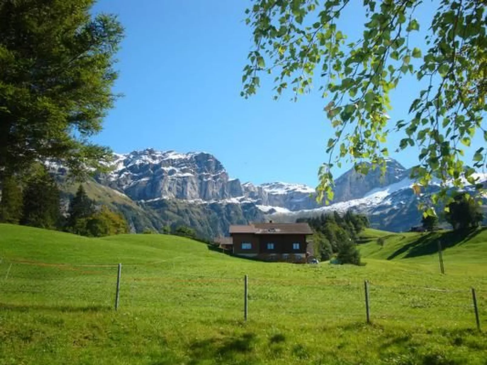 Ferien im grünen rechts-Buiten