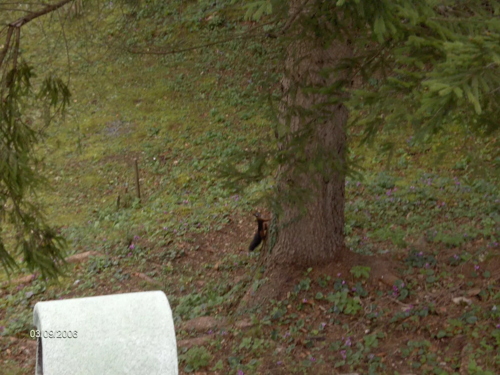 Mit Terrasse, Grill und Garten-Buiten