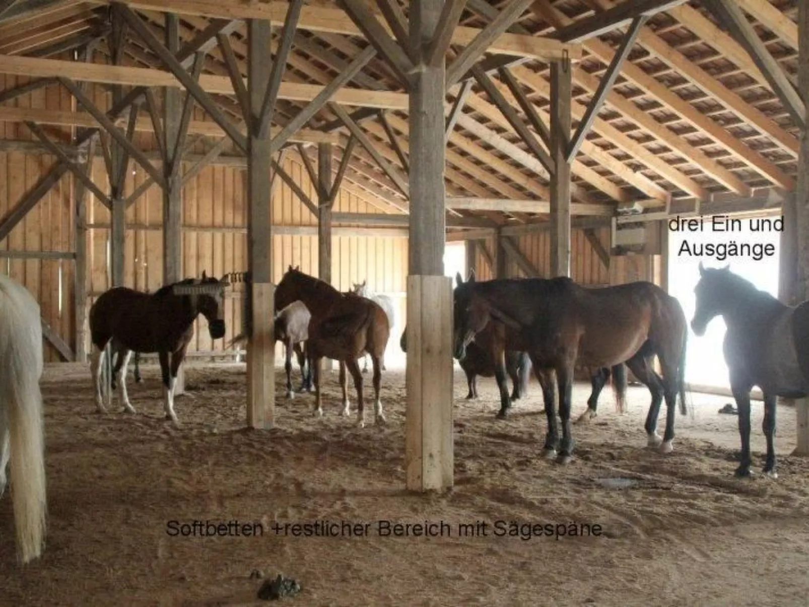 Mit sonniger Terrasse und Ausblick-Buiten
