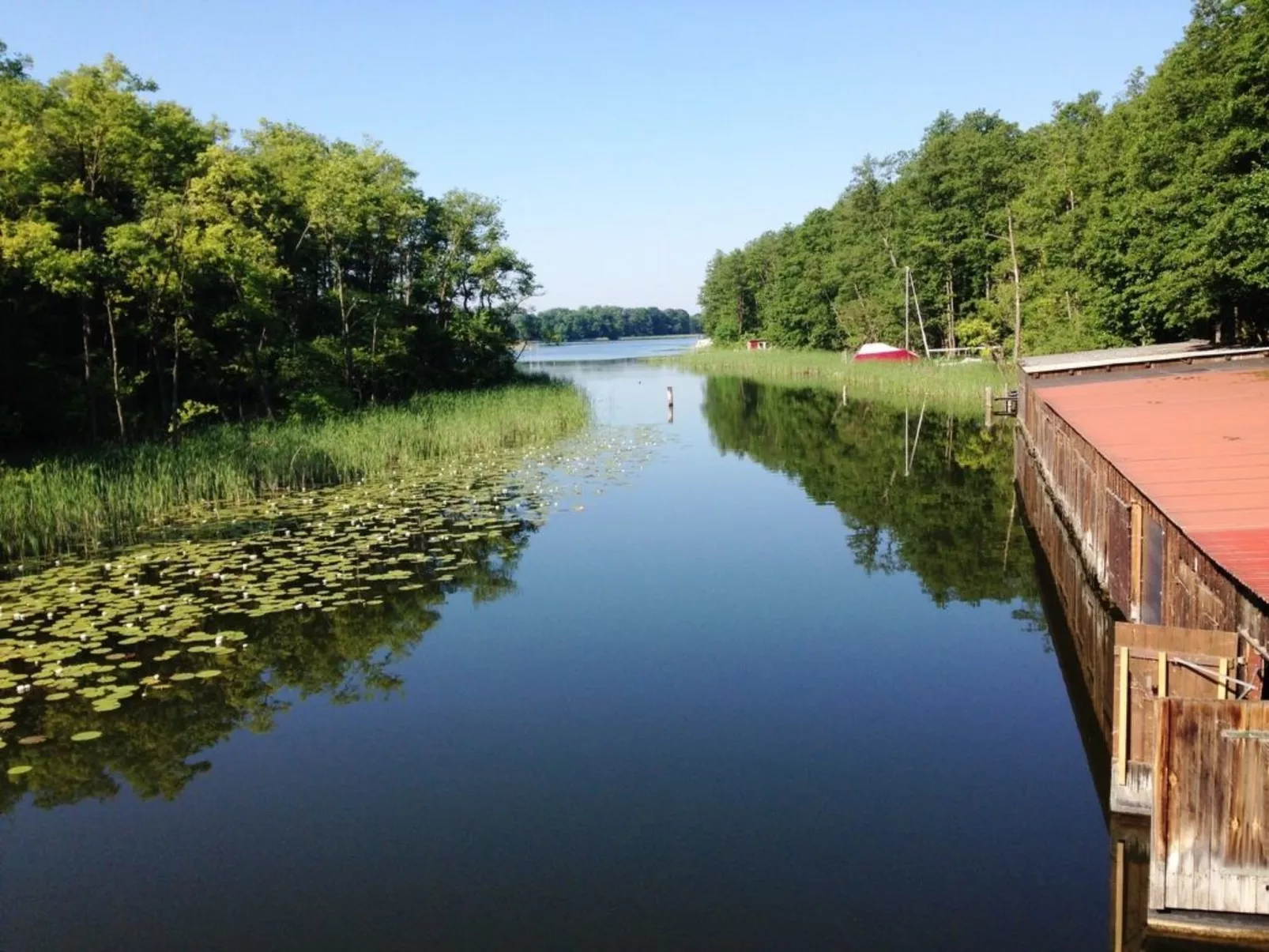 Abendsonne-Image-tags.info