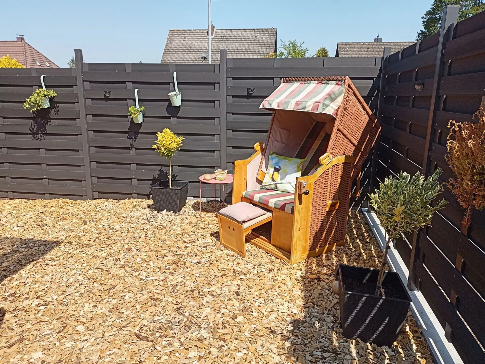 Zwei Finken in Wiesmoor-Buiten