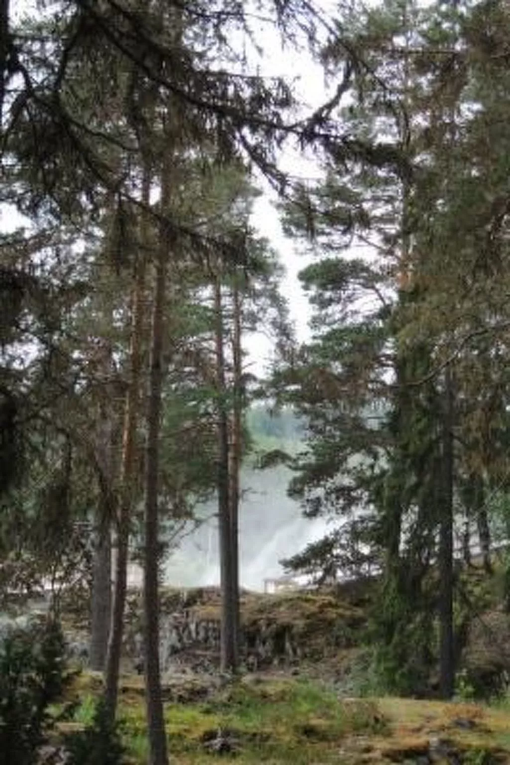 Solbacken Cottage und Lodge-Buiten