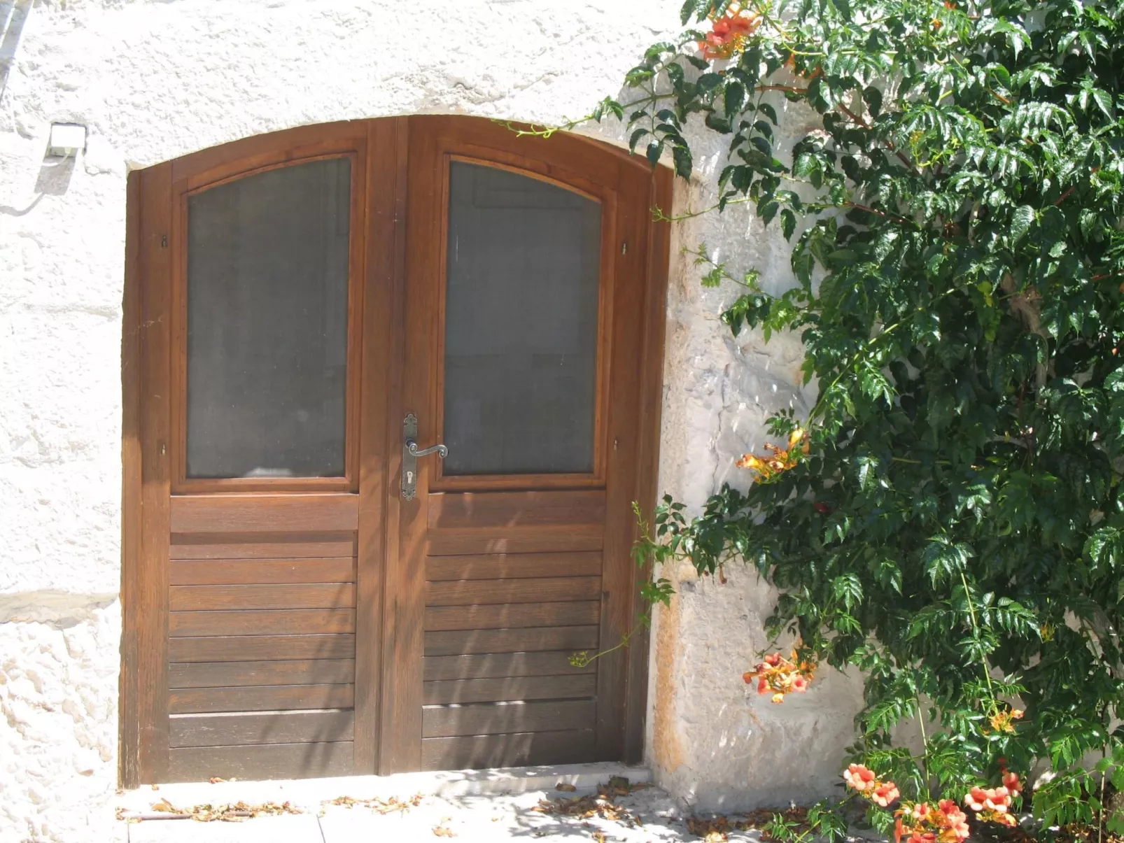 Wohnung in Zavala mit schönem Garten-Buiten