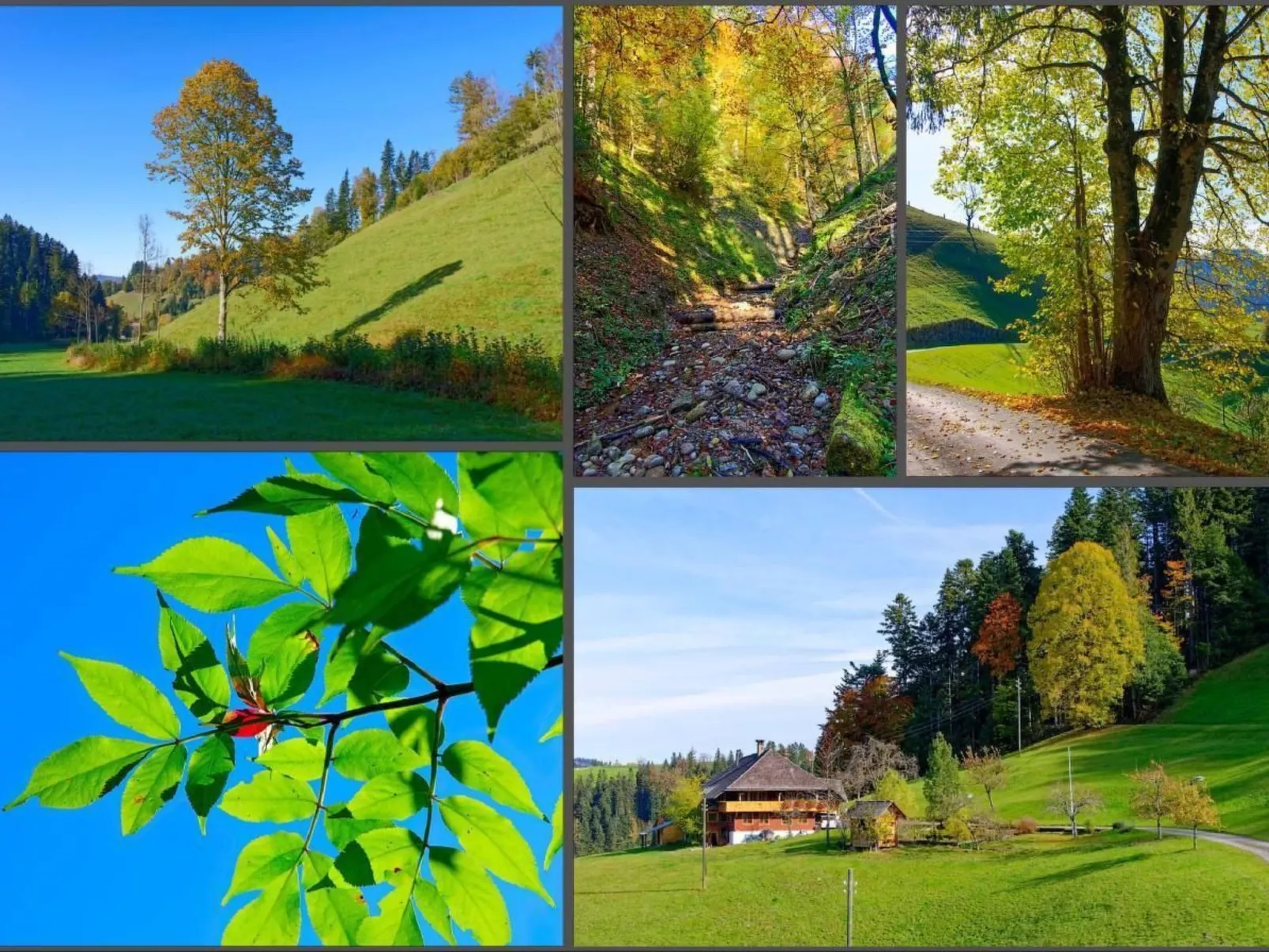 Emmental Ferien-Buiten