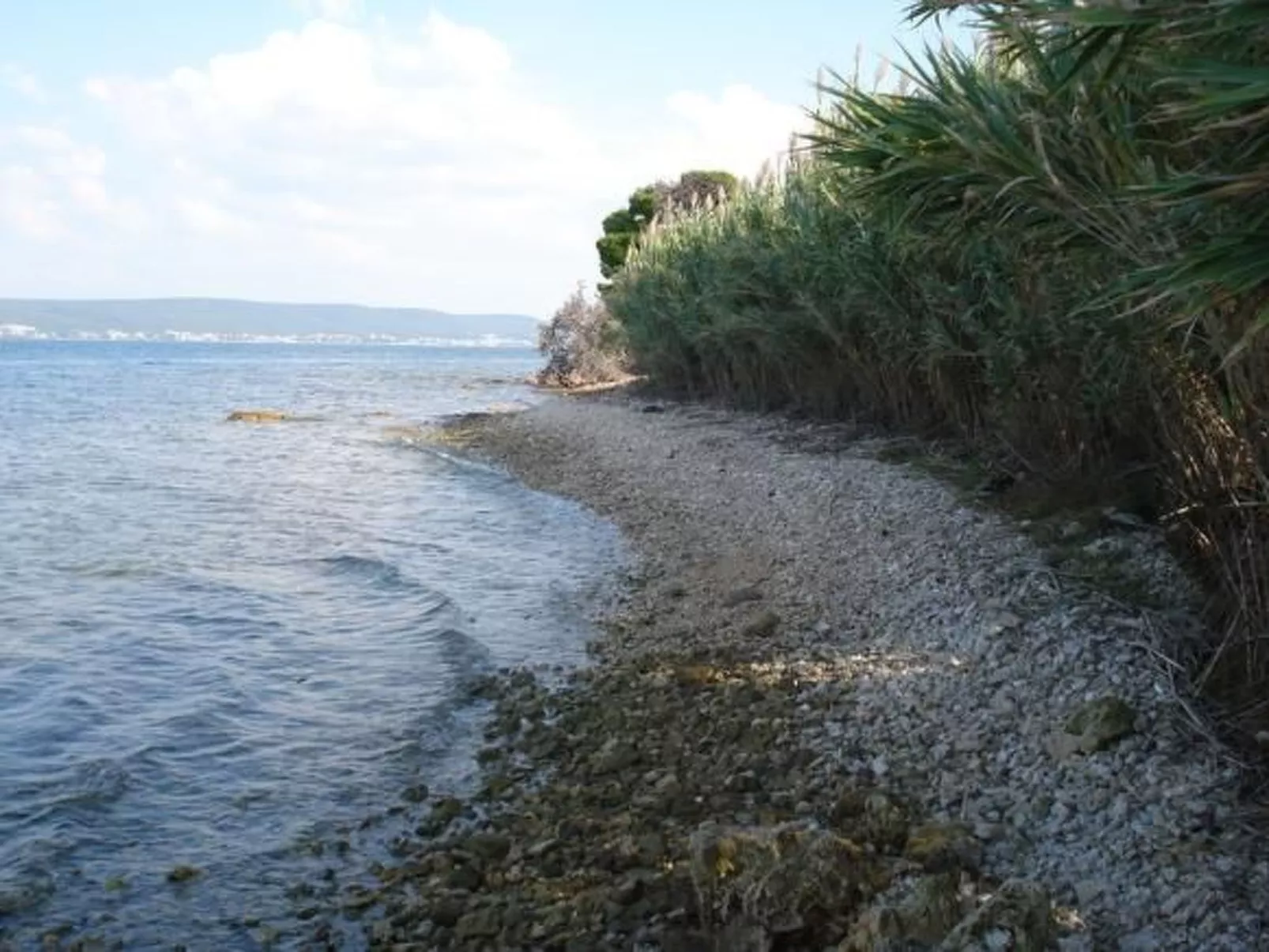 In Dobropoljana mit Freiterrasse-Buiten