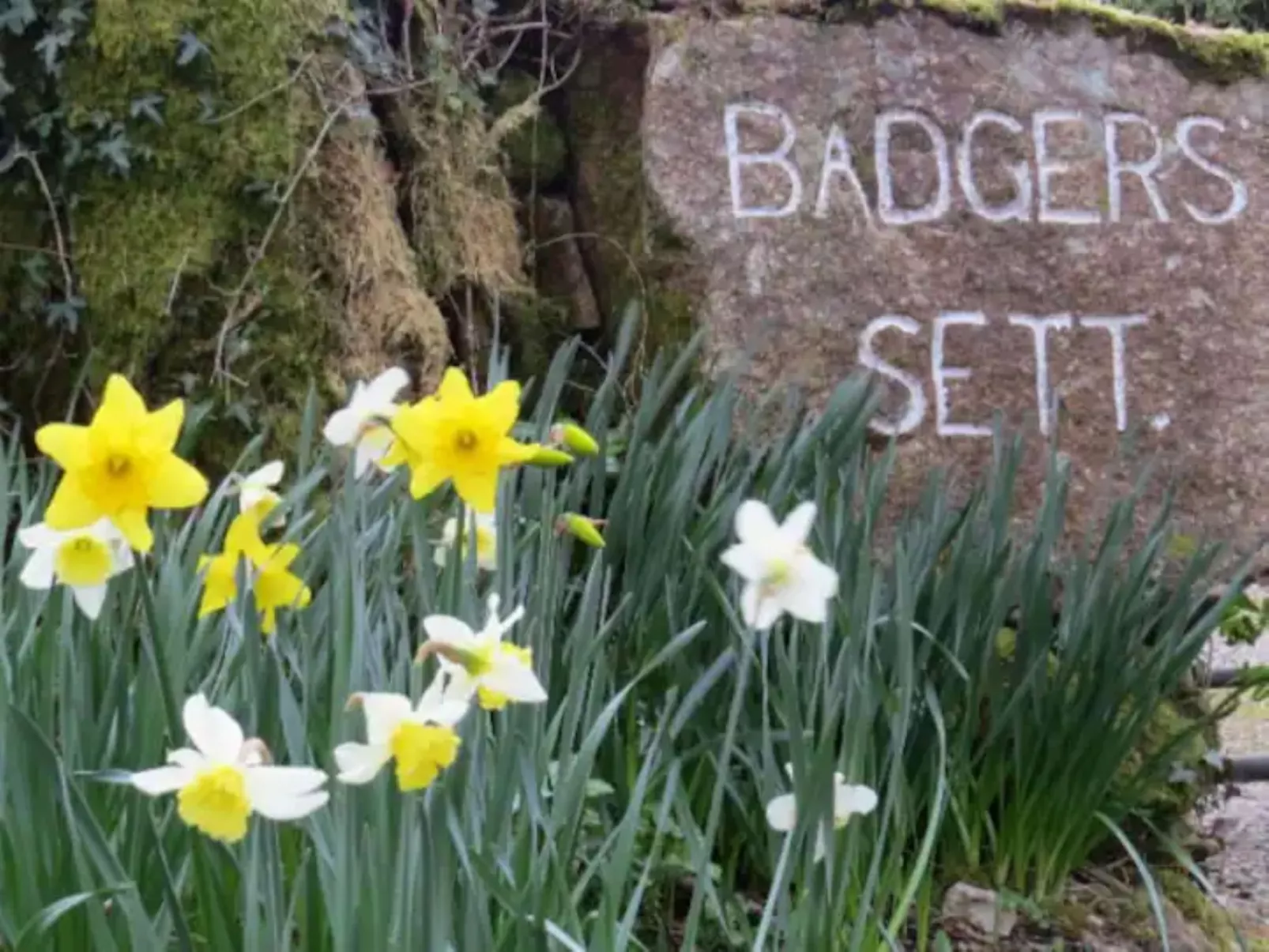 Idyllisches,haustierfreundliches Landhaus Lavender-Buiten