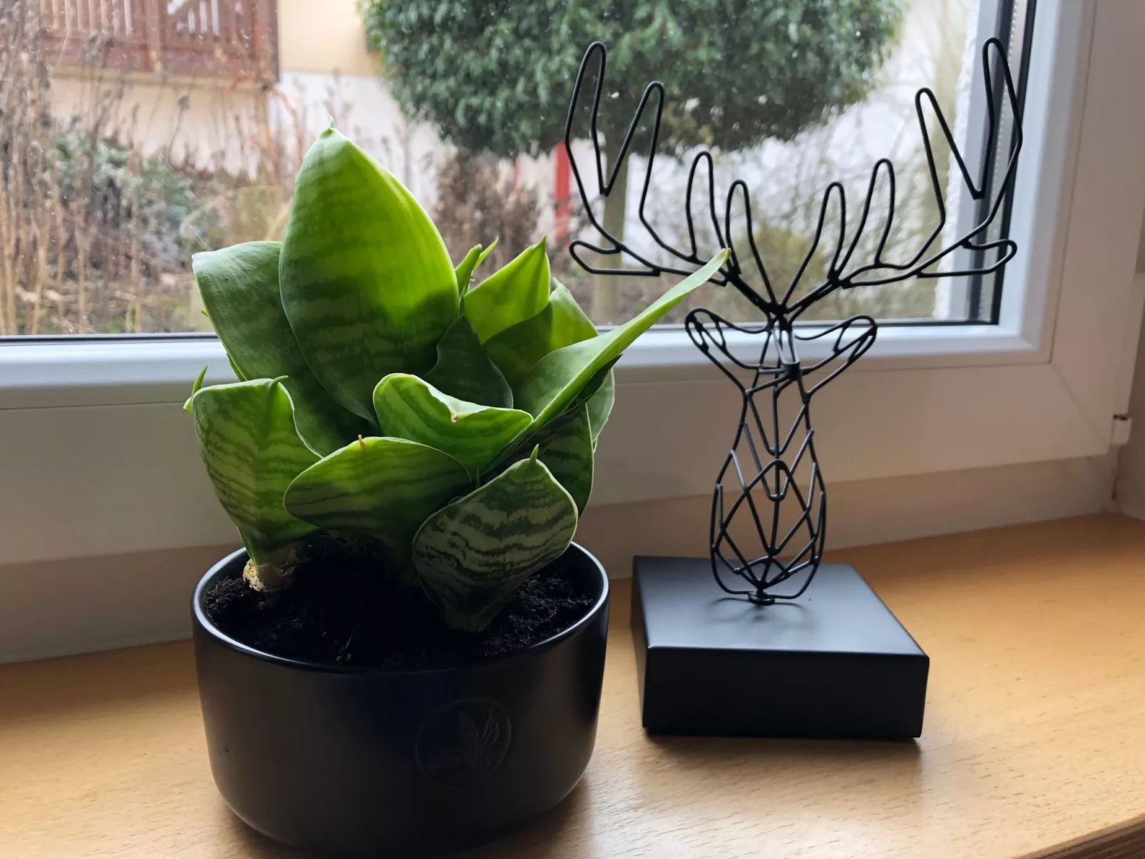 FeWo 5 Jahreszeiten-Binnen