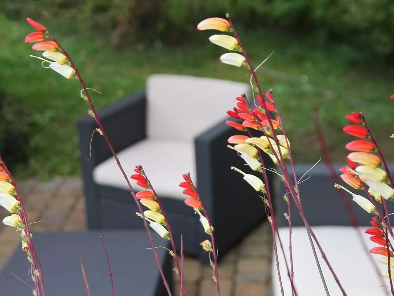 Am Weiher-Image-tags.info