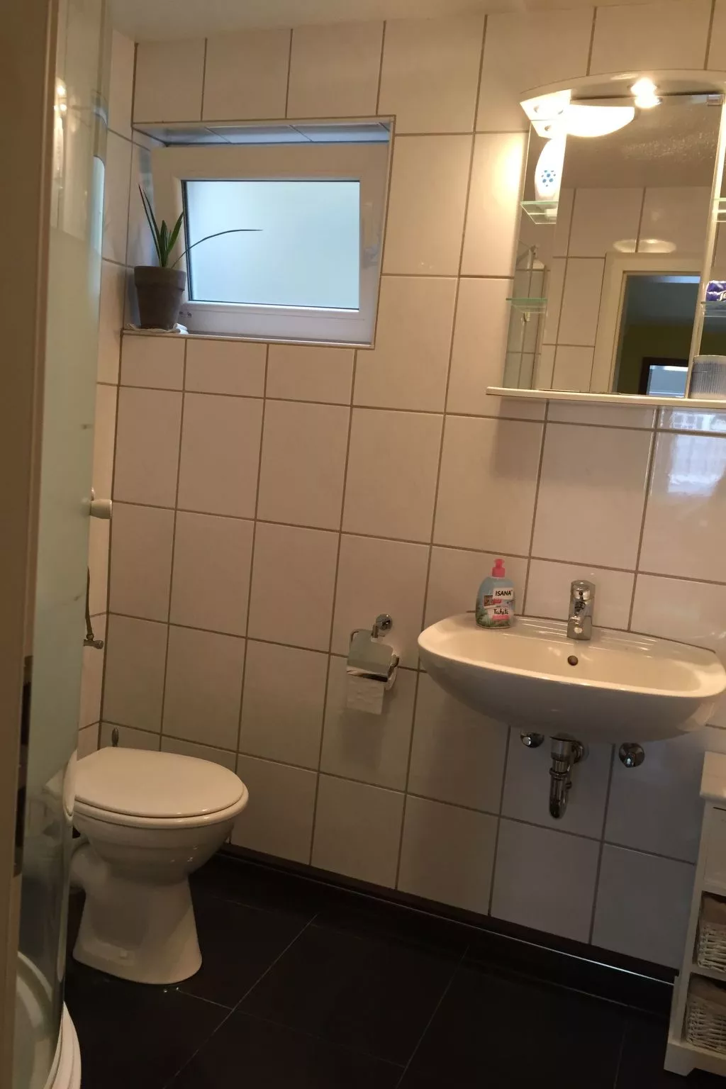 Gemüliche Ferienwohnung Schmandin-Binnen