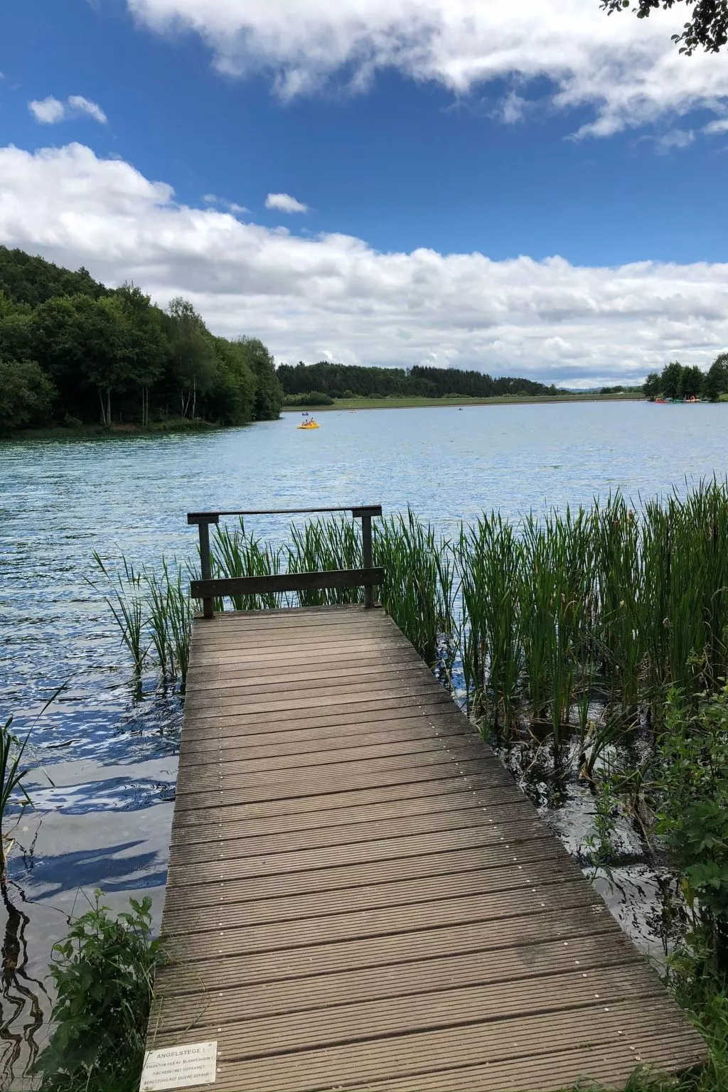 Eifelhäuschen Wald-Buiten