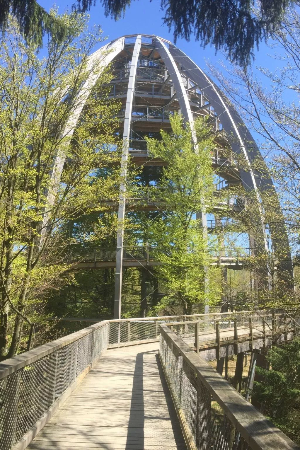 Wohnung mit möblierter Terrasse und Waldblick-Image-tags.info