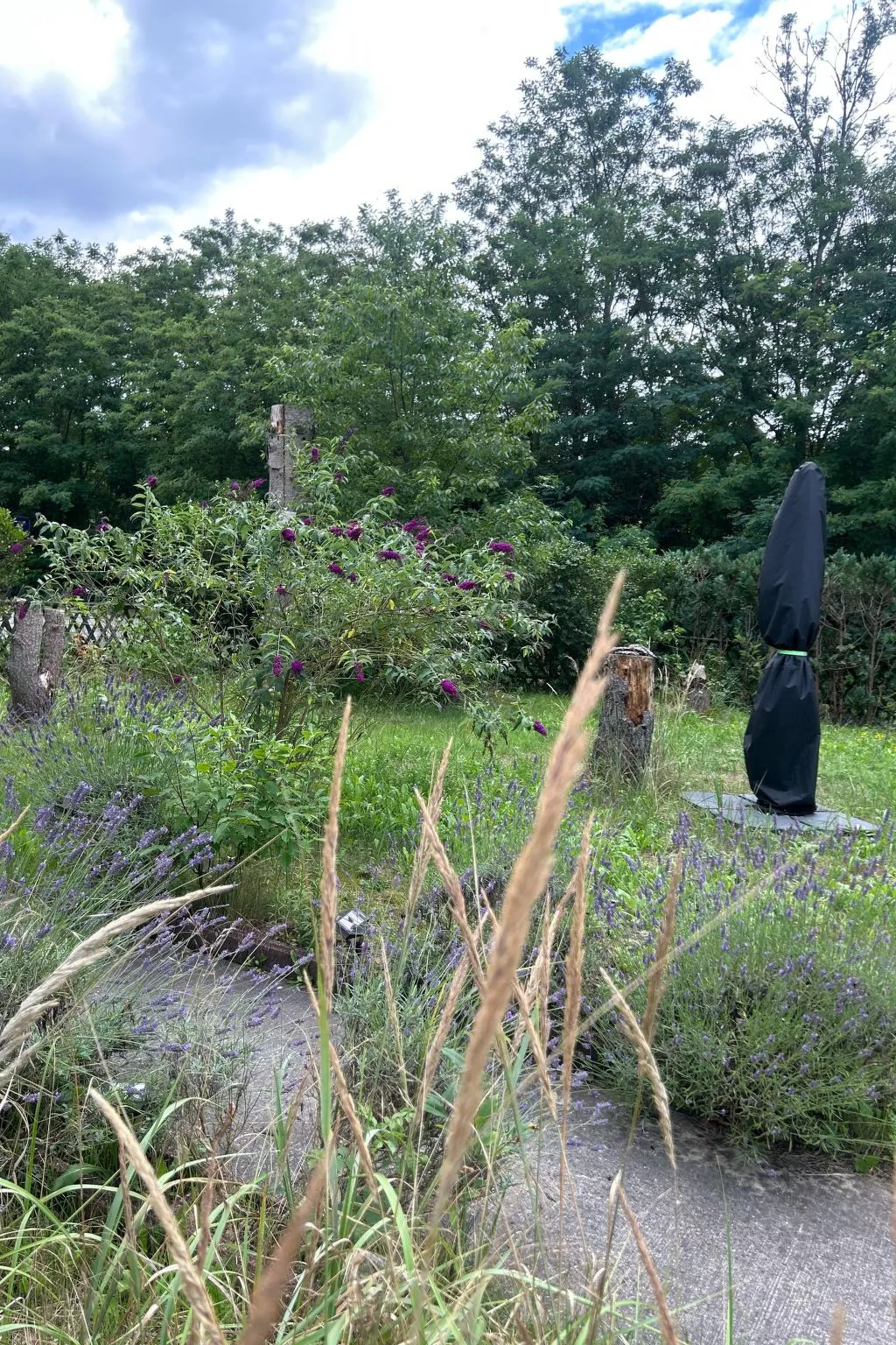 Datscha im Grünen-Buiten