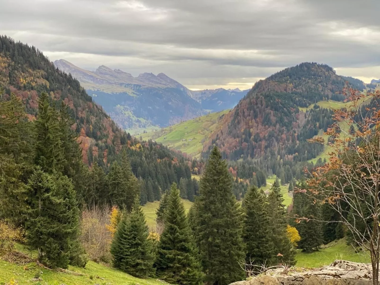 Haus zum Reh - Image-tags.info